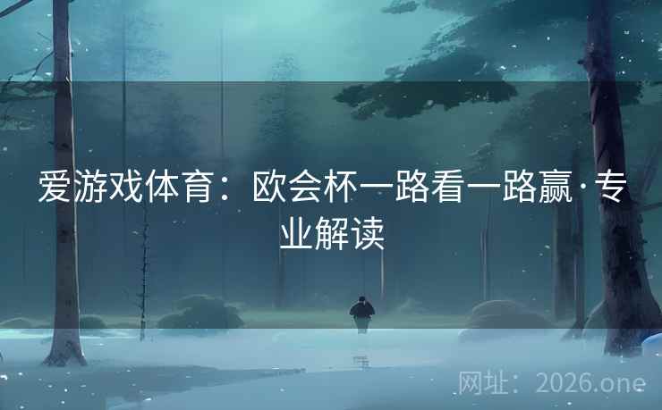 爱游戏体育:欧会杯一路看一路赢·专业解读