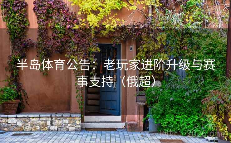 半岛体育公告:老玩家进阶升级与赛事支持(俄超)